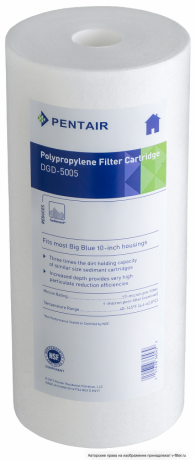     Pentek BB DGD-5005 -        | V-FILTER