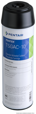       Pentek TSGAC-10 -        | V-FILTER